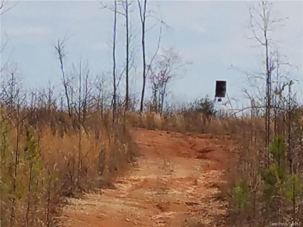 ??? Wellridge Road Chester, SC 29706 - Photo 20 of 23 Gallery Image 20