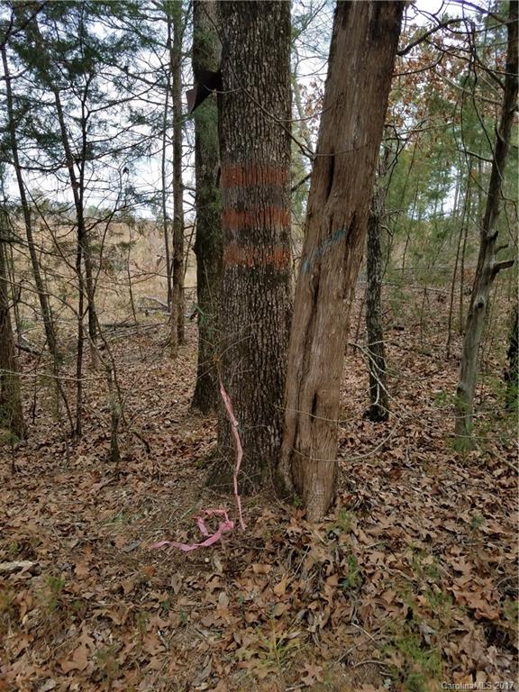 ??? Wellridge Road Chester, SC 29706 - Photo 21 of 23 Gallery Image 21