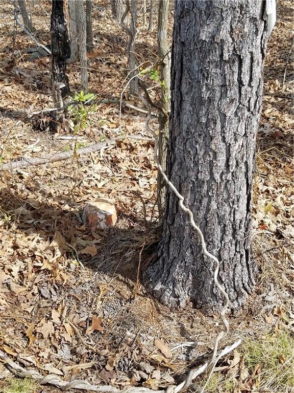 ??? Wellridge Road Chester, SC 29706 - Photo 23 of 23 Gallery Image 23