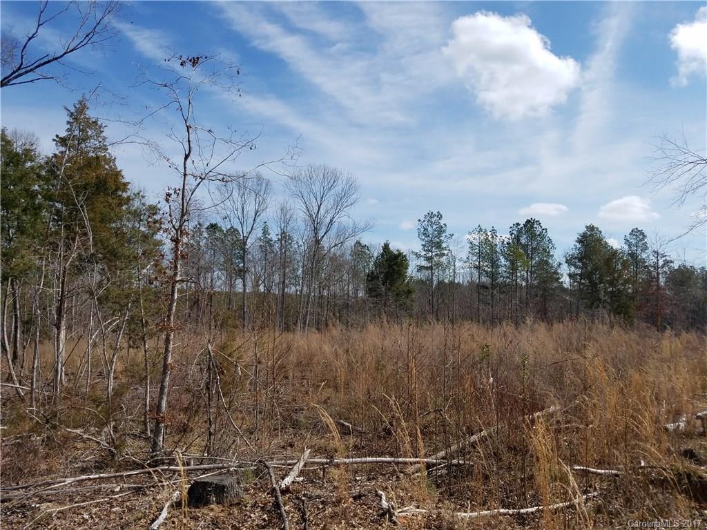 ??? Wellridge Road Chester, SC 29706 - Photo 6 of 23 Gallery Image 6