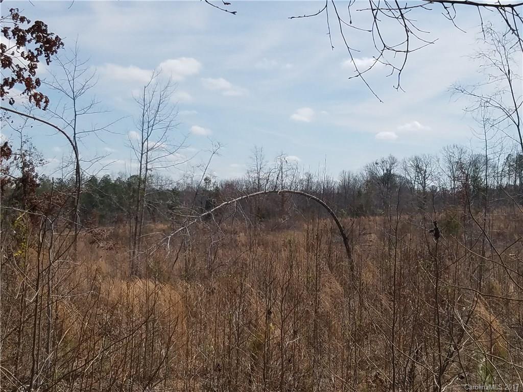 ??? Wellridge Road Chester, SC 29706 - Photo 8 of 23 Gallery Image 8