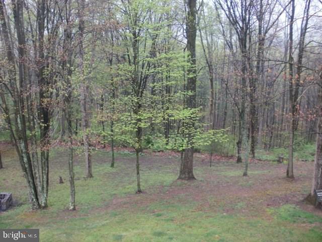88 Tapeworm Road New Bloomfield, PA 17068 - Photo 20 of 20 Gallery Image 20