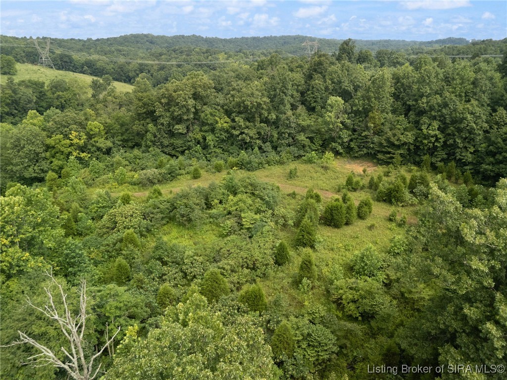 2768 South Benham Mill Road English, IN 47118 - Photo 20 of 46 Gallery Image 20