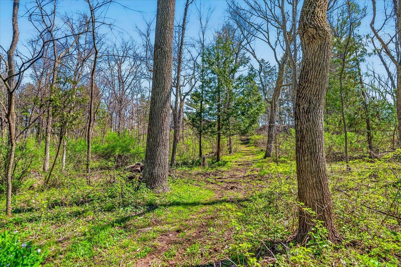 6401 Purcell Road Belleville, WI 53508 - Photo 69 of 73