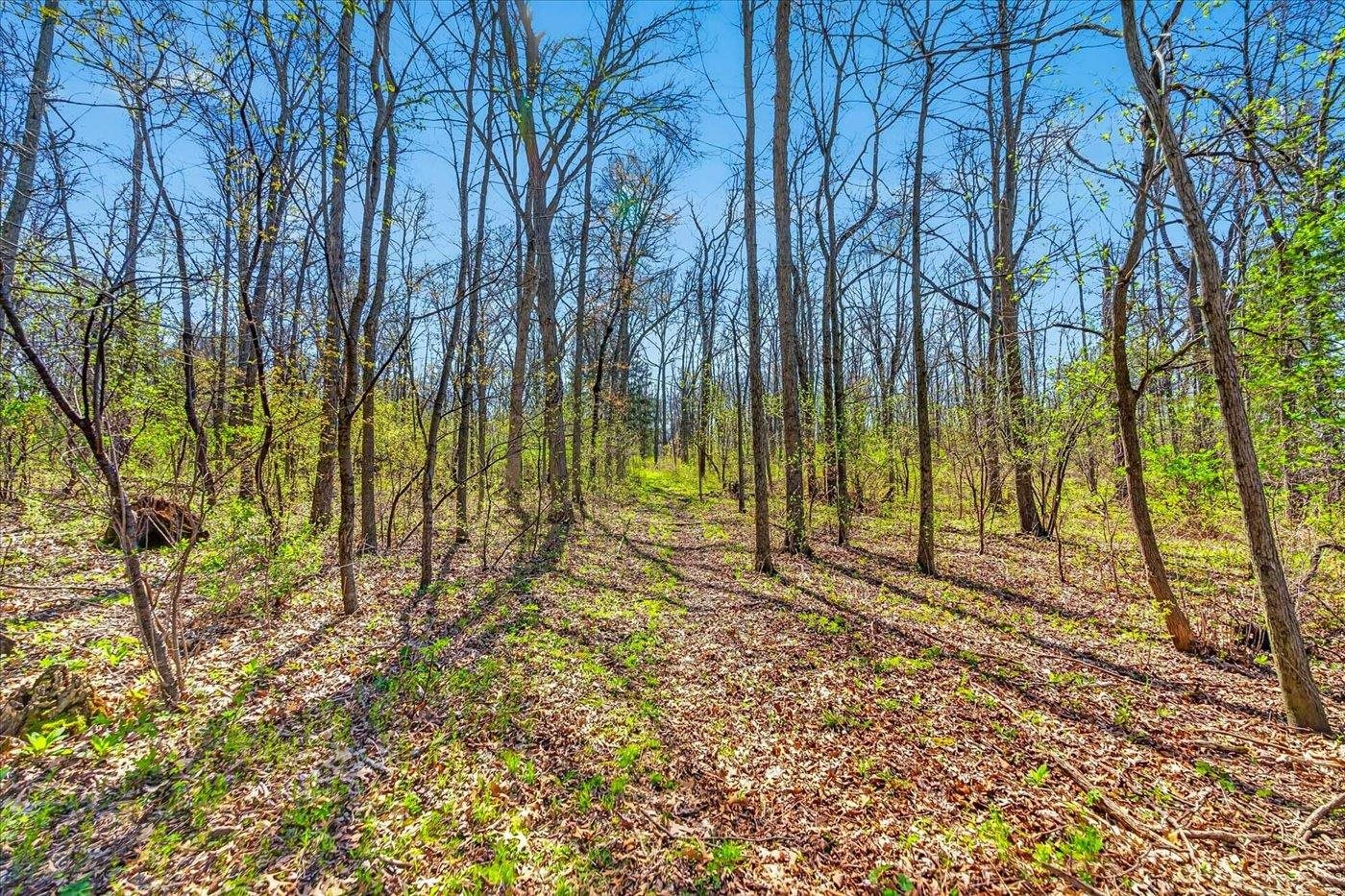 6401 Purcell Road Belleville, WI 53508 - Photo 71 of 73