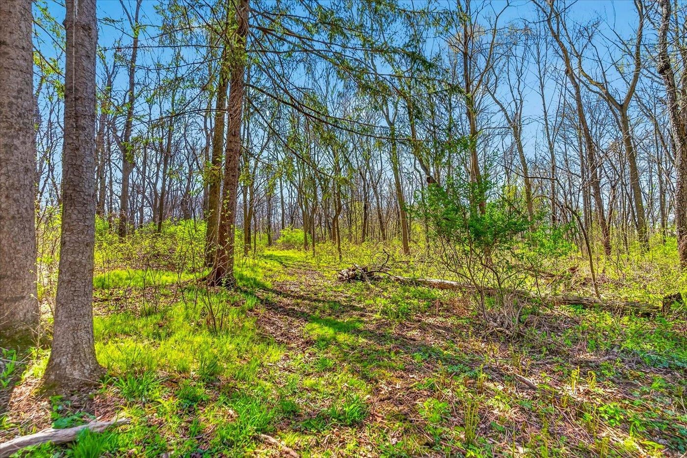 6401 Purcell Road Belleville, WI 53508 - Photo 72 of 73