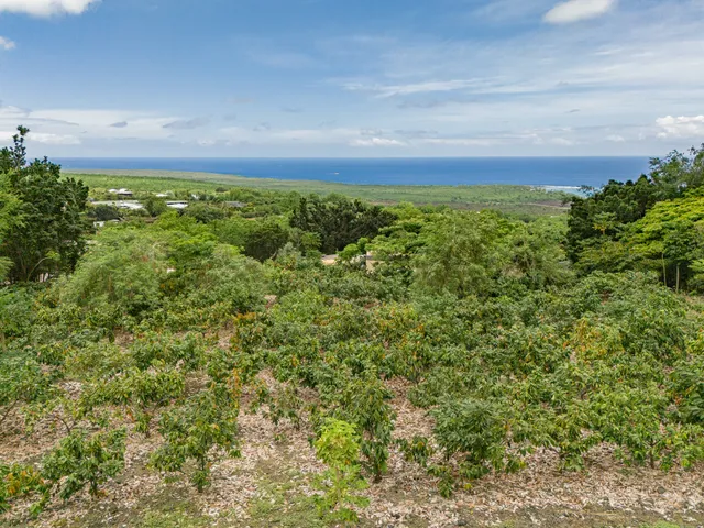 $990,000 | 82-5900 Government Main Road, Captain Cook, HI 96704