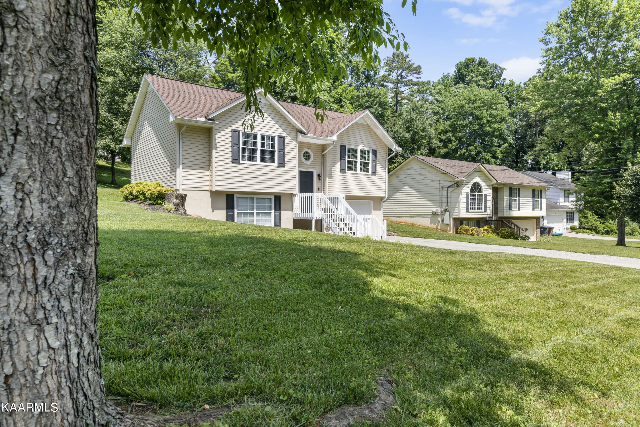 3909 Abercorn Road Knoxville, TN 37921 - Photo 12 of 18 a view of a yard in front of house