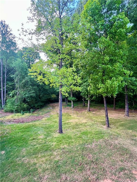 348 Hidden Trail Pendergrass, GA 30567 - Photo 35 of 40 a backyard of a house with lots of green space