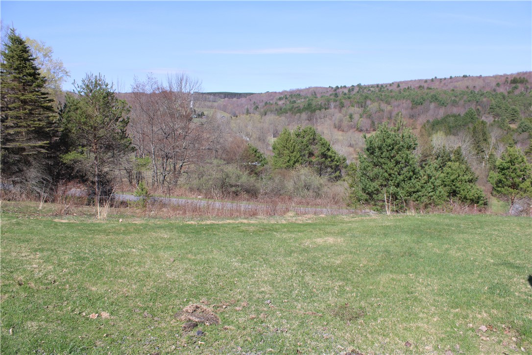 607 South America Road Worcester, NY 12197 - Photo 1 of 1