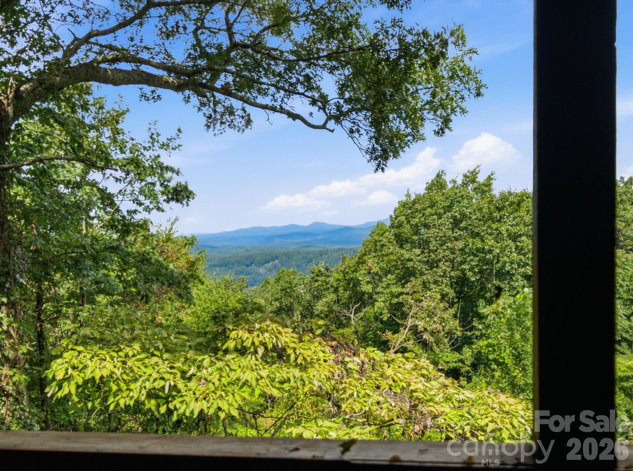 327 Summit Road Tryon, NC 28782 - Photo 23 of 48 Gallery Image 23