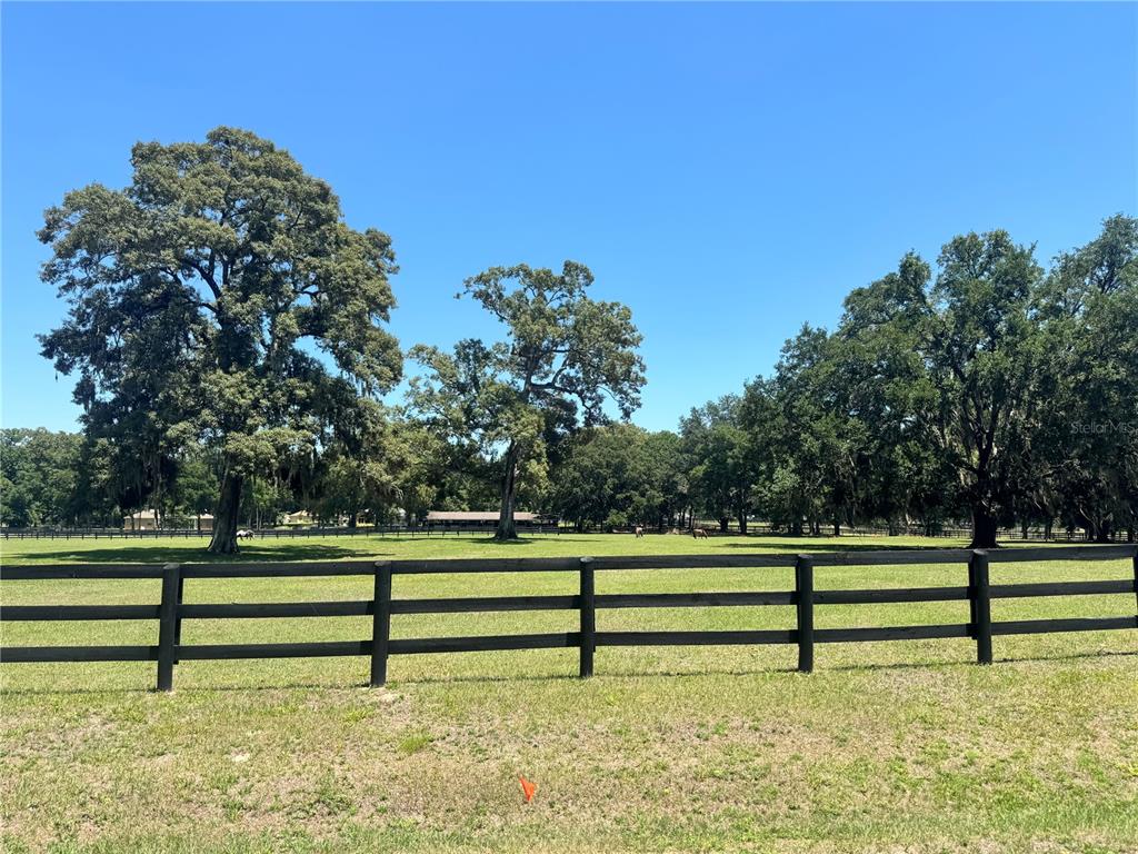 11145 Northwest 17th Court Road Ocala, FL 34475 - Photo 55 of 59