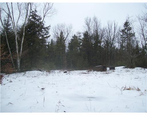 31 Curtis Road Etna, ME 04434 - Photo 4 of 9 Land/Lot.