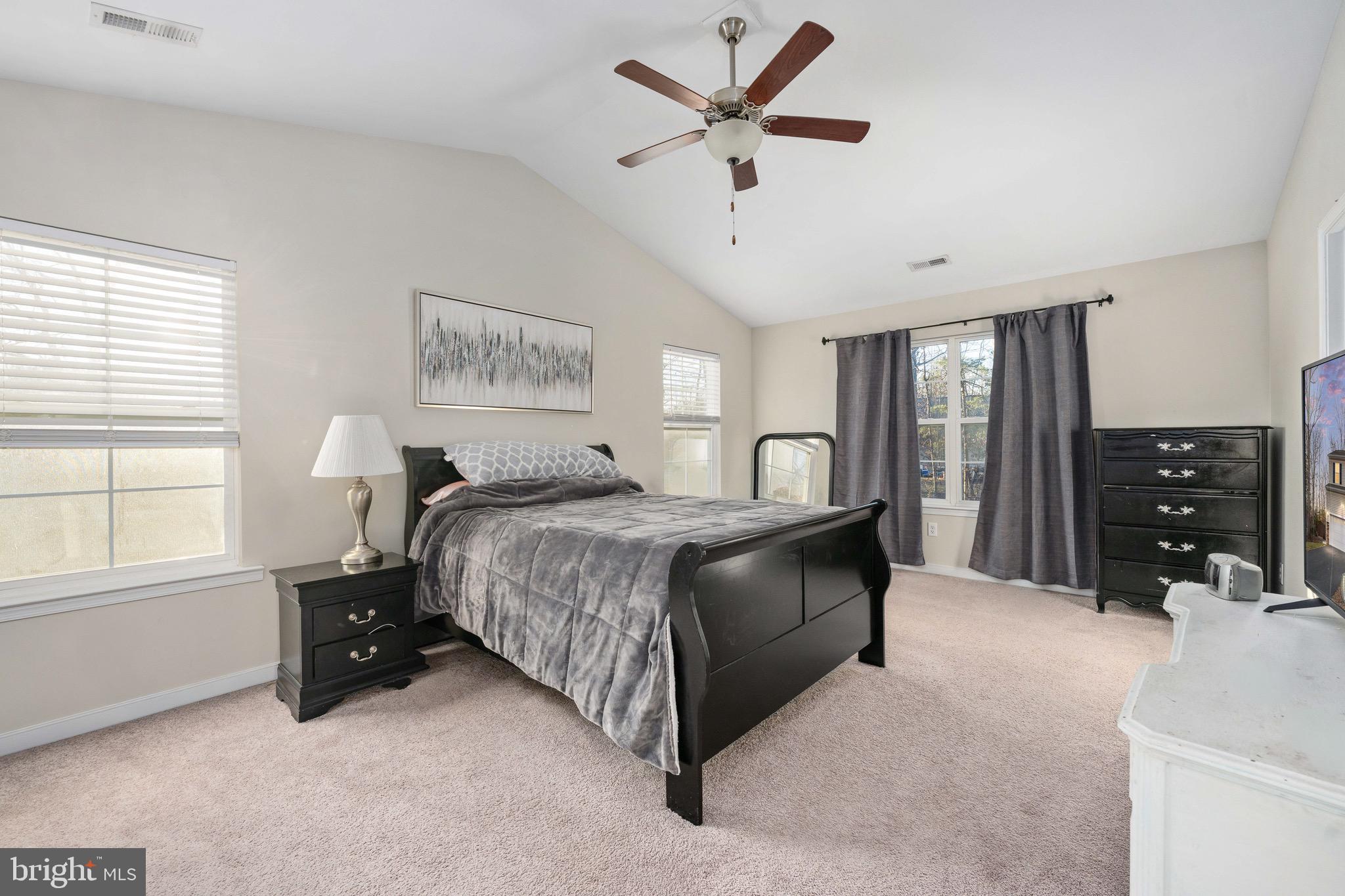 1002 Lakeview Parkway Locust Grove, VA 22508 - Photo 16 of 30 Primary suite with walk-in closet