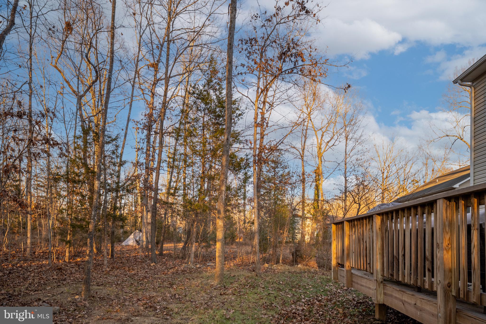 1002 Lakeview Parkway Locust Grove, VA 22508 - Photo 25 of 30