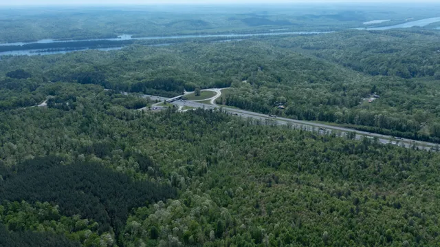 a view of a forest with a street