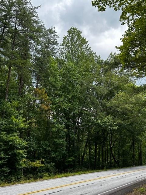 0 State Highway Sautee Nacoochee, GA 30571 - Photo 1 of 1 a view of a yard