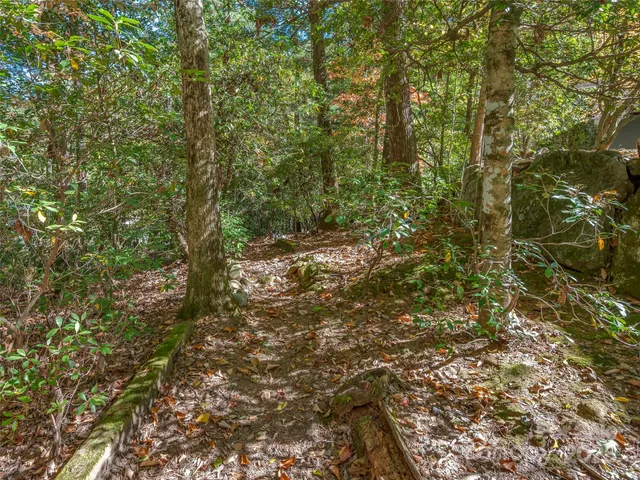 a view of a house with a tree