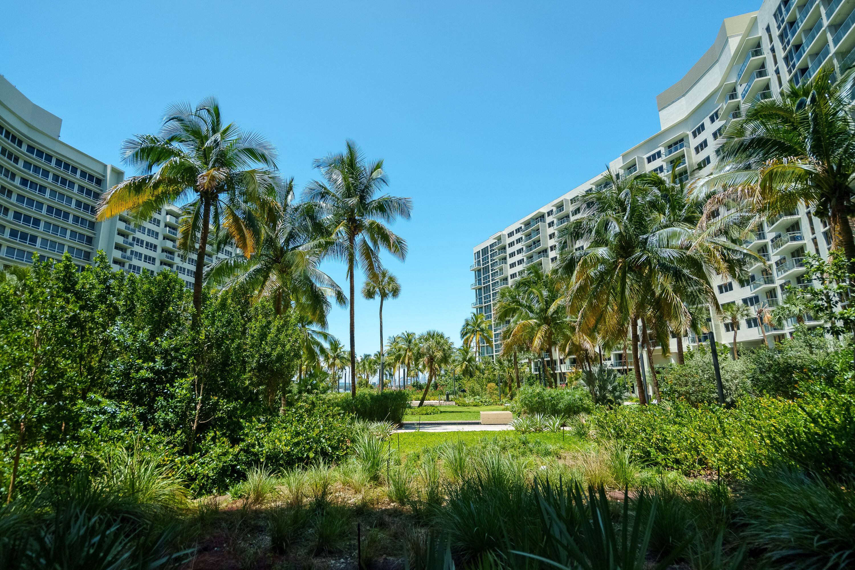 1500 Bay Road, Unit 306S Miami Beach, FL 33139 - Photo 48 of 82 DSC08151