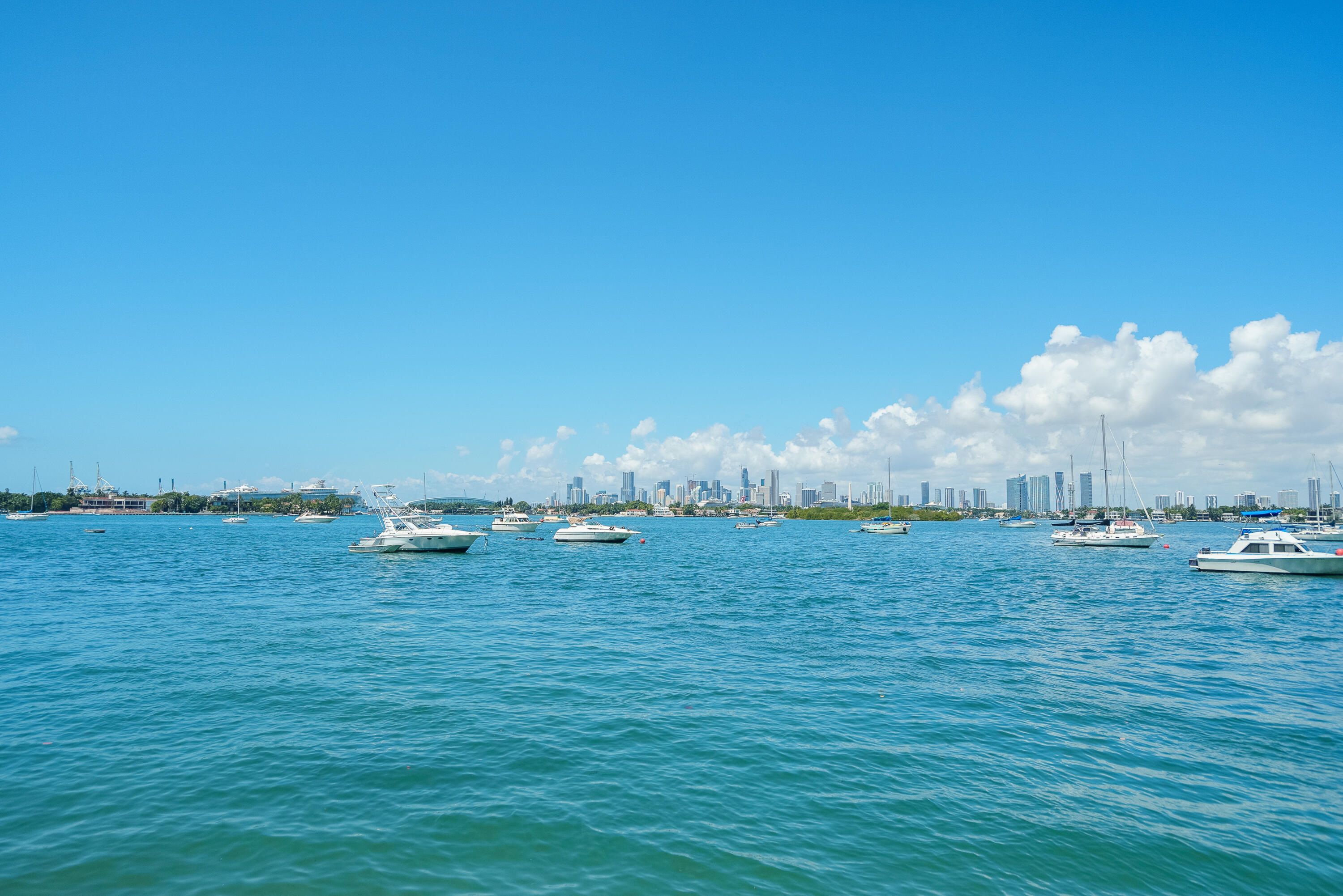 1500 Bay Road, Unit 306S Miami Beach, FL 33139 - Photo 59 of 82 DSC08130