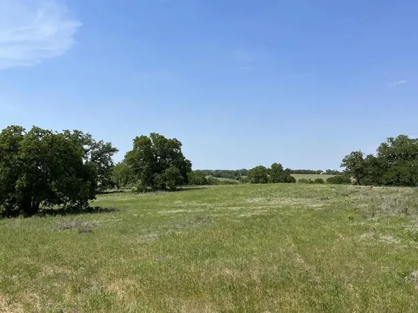 a view of a field with an ocean