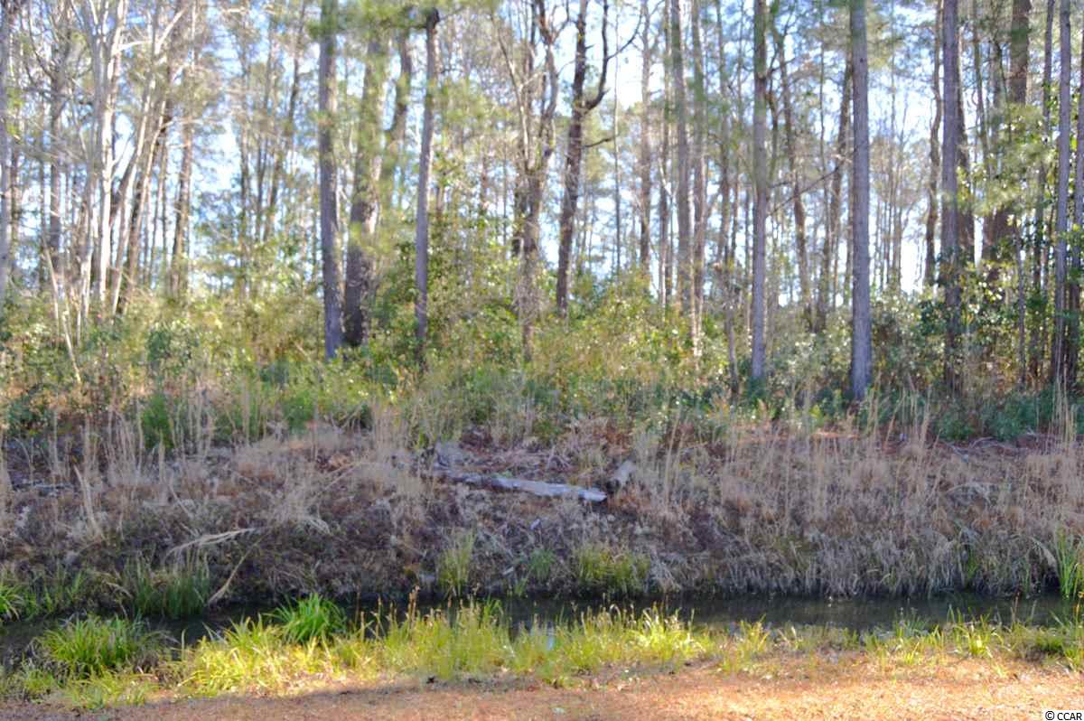 536 Boundary Loop Road Northwest Calabash, NC 28467 - Photo 1 of 7