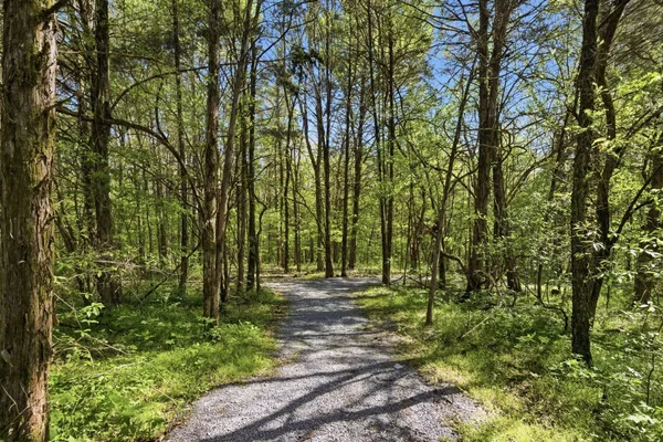 $699,995 | 904 Carnation Dr., Smyrna, TN 37167