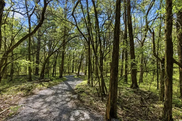 $699,995 | 904 Carnation Dr., Smyrna, TN 37167