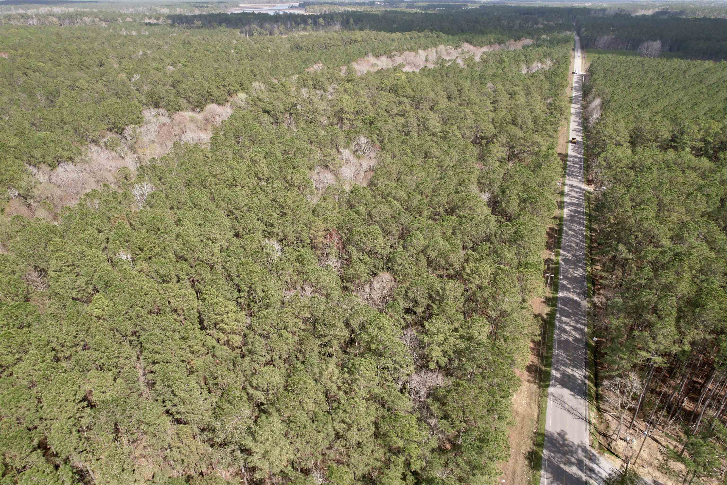 Tract D - Tbd Tract D - Tbd Pennyroyal Road Georgetown, SC 29440 - Photo 1 of 23