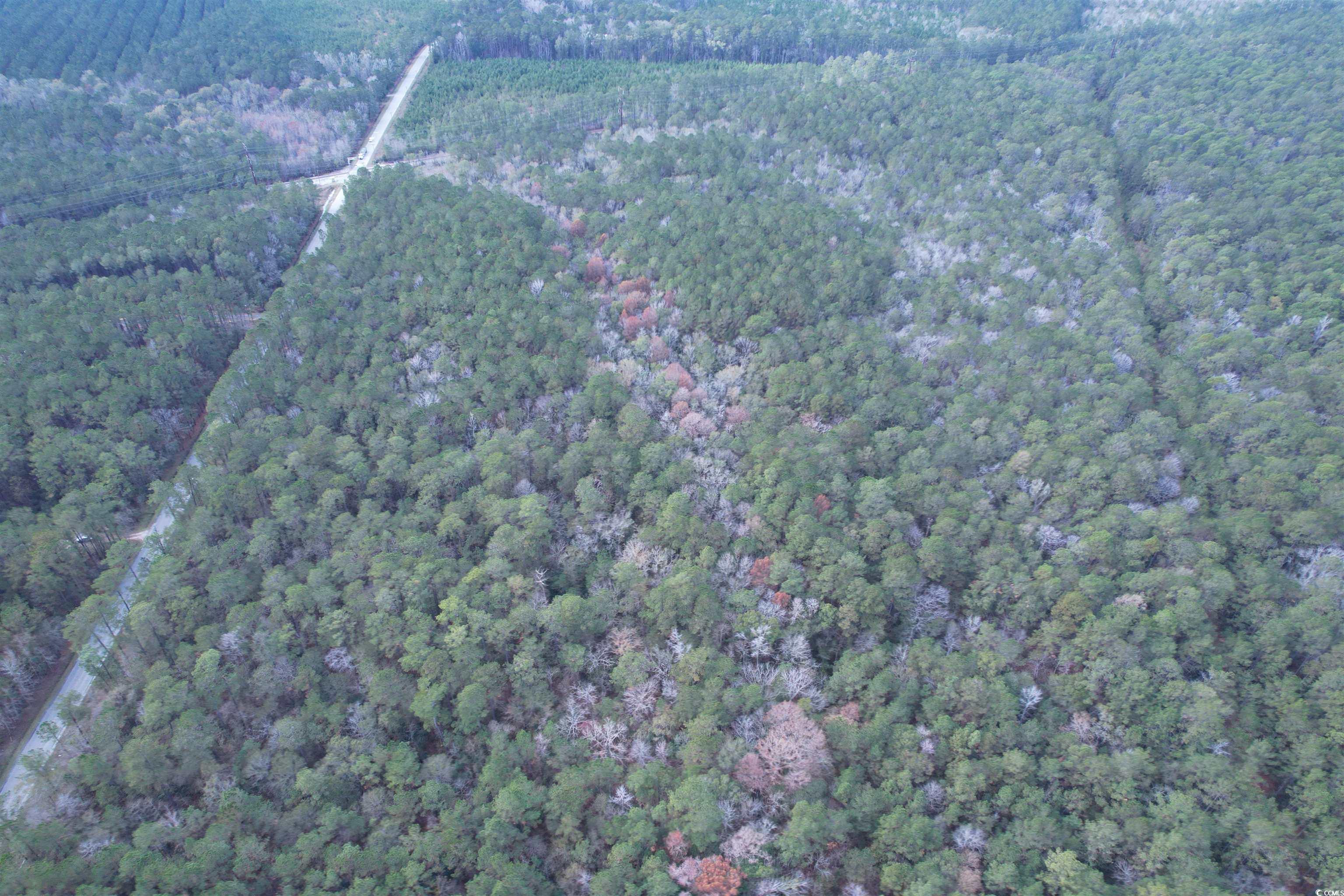 Tract D - Tbd Tract D - Tbd Pennyroyal Road Georgetown, SC 29440 - Photo 11 of 23
