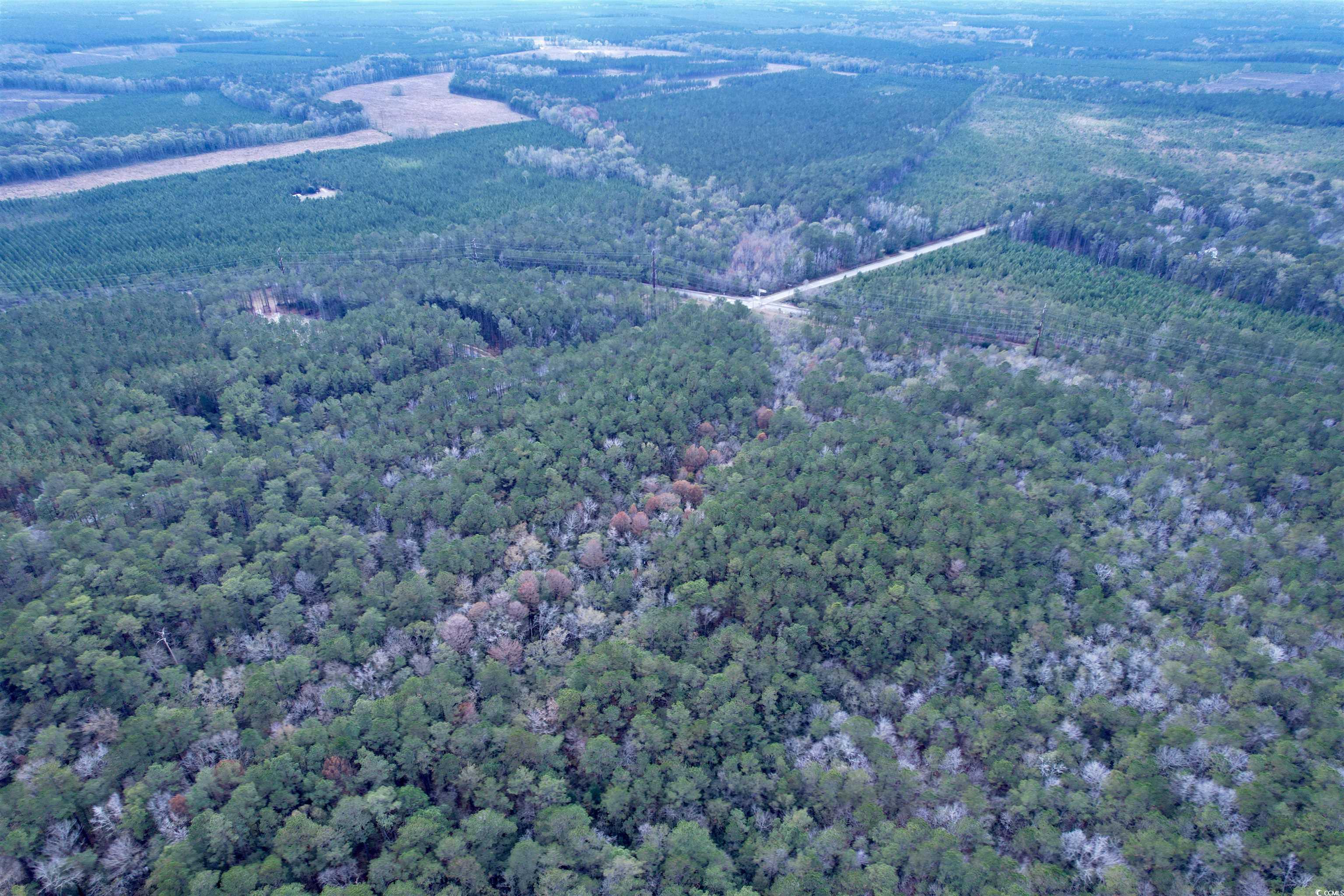 Tract D - Tbd Tract D - Tbd Pennyroyal Road Georgetown, SC 29440 - Photo 13 of 23