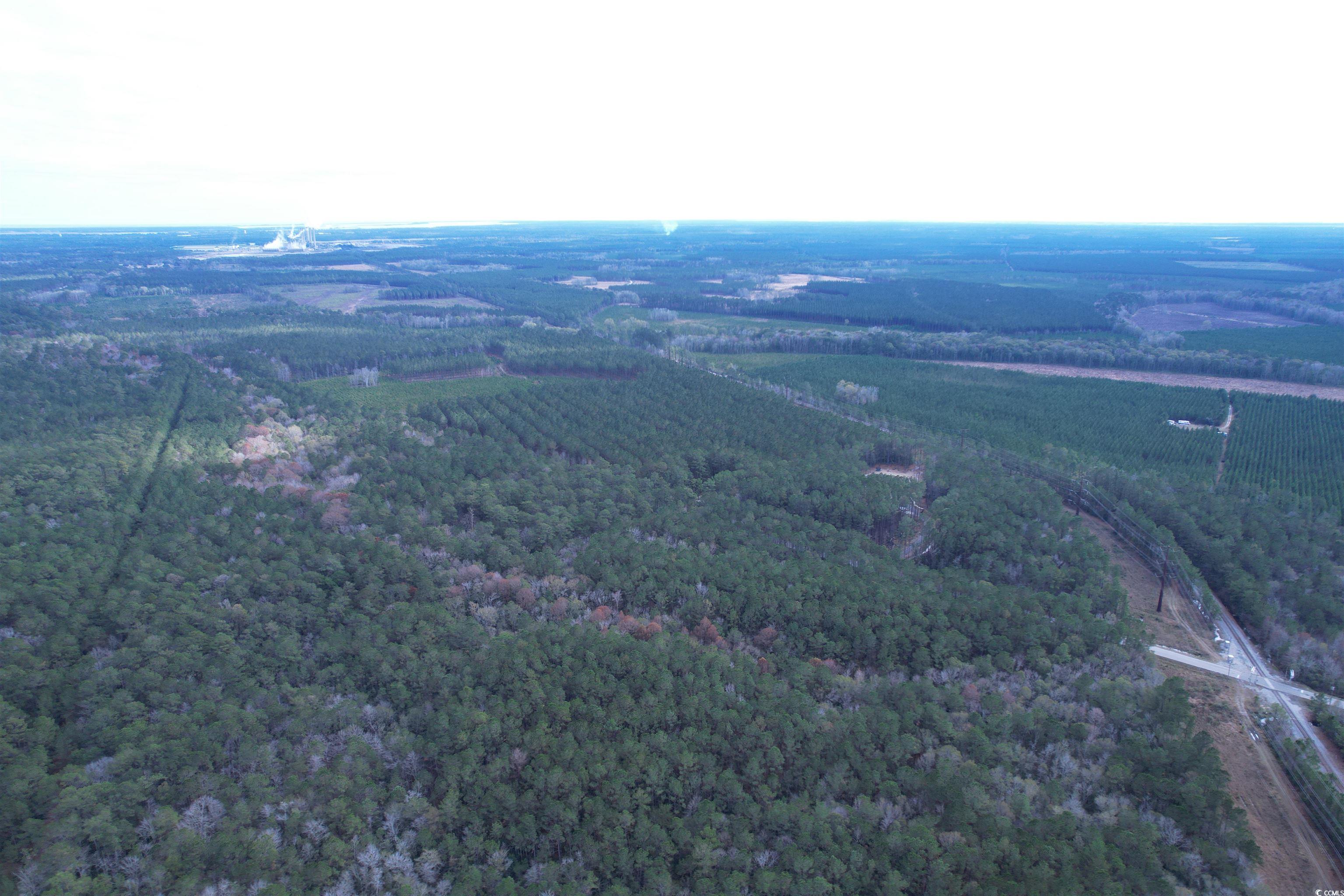 Tract D - Tbd Tract D - Tbd Pennyroyal Road Georgetown, SC 29440 - Photo 15 of 23