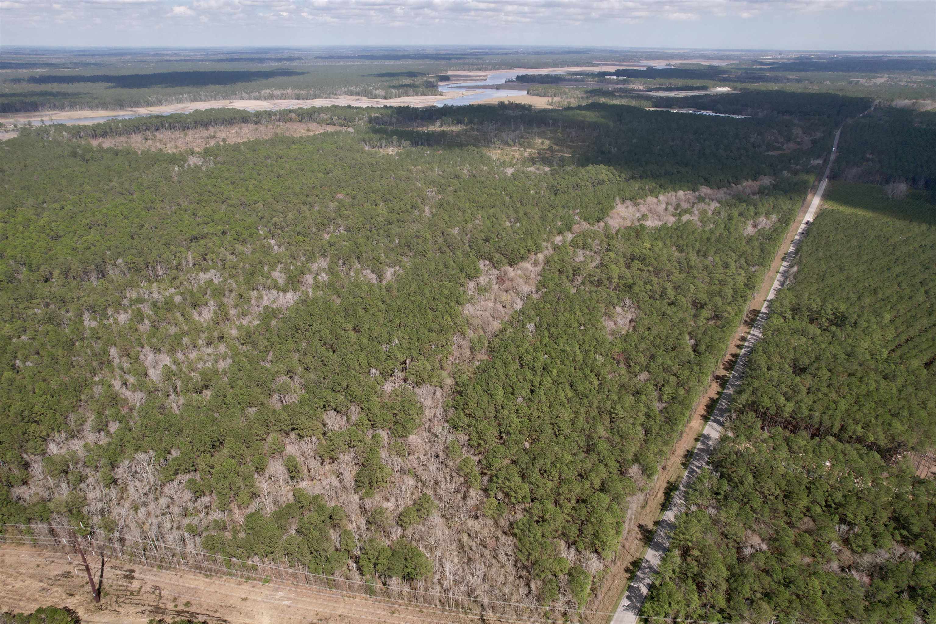 Tract D - Tbd Tract D - Tbd Pennyroyal Road Georgetown, SC 29440 - Photo 2 of 23