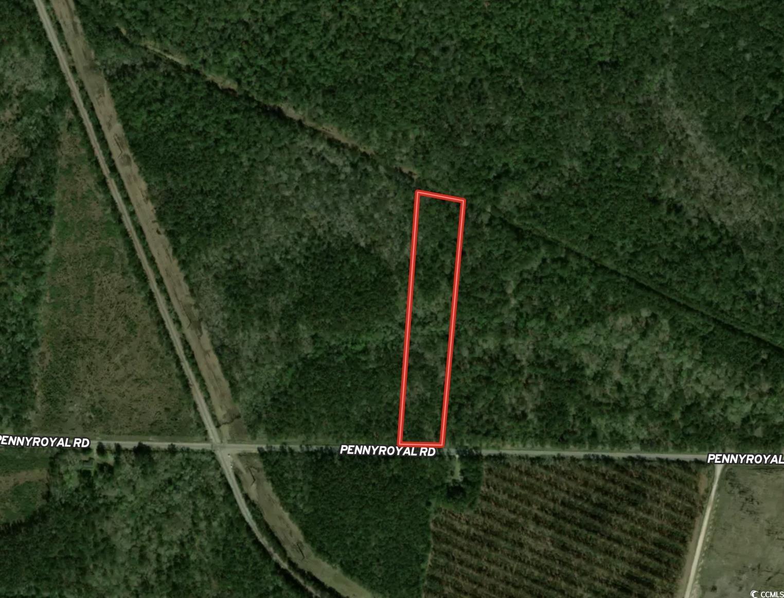 Tract D - Tbd Tract D - Tbd Pennyroyal Road Georgetown, SC 29440 - Photo 23 of 23