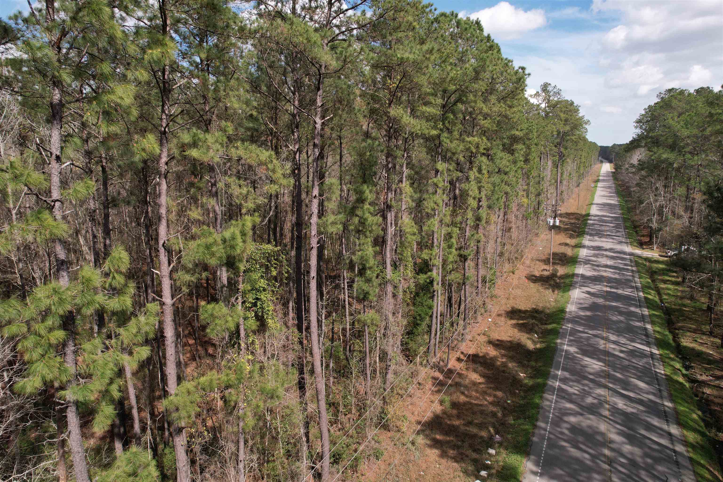 Tract D - Tbd Tract D - Tbd Pennyroyal Road Georgetown, SC 29440 - Photo 4 of 23