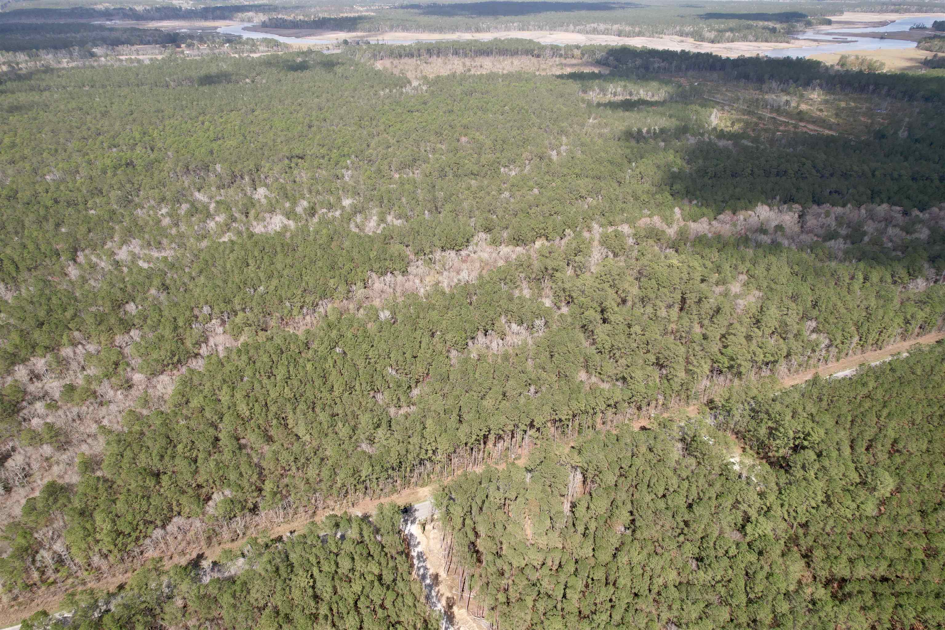 Tract D - Tbd Tract D - Tbd Pennyroyal Road Georgetown, SC 29440 - Photo 5 of 23