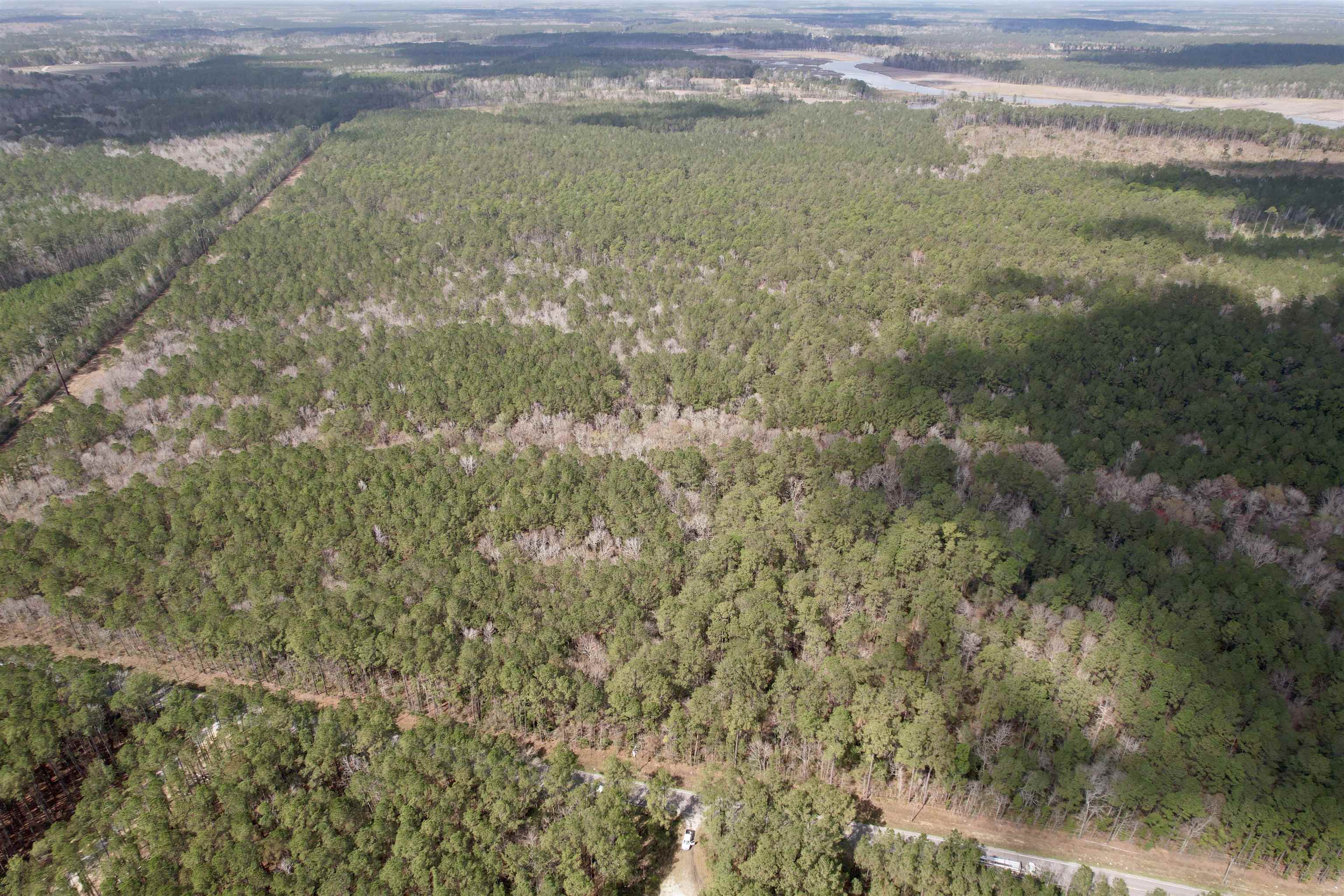 Tract D - Tbd Tract D - Tbd Pennyroyal Road Georgetown, SC 29440 - Photo 7 of 23