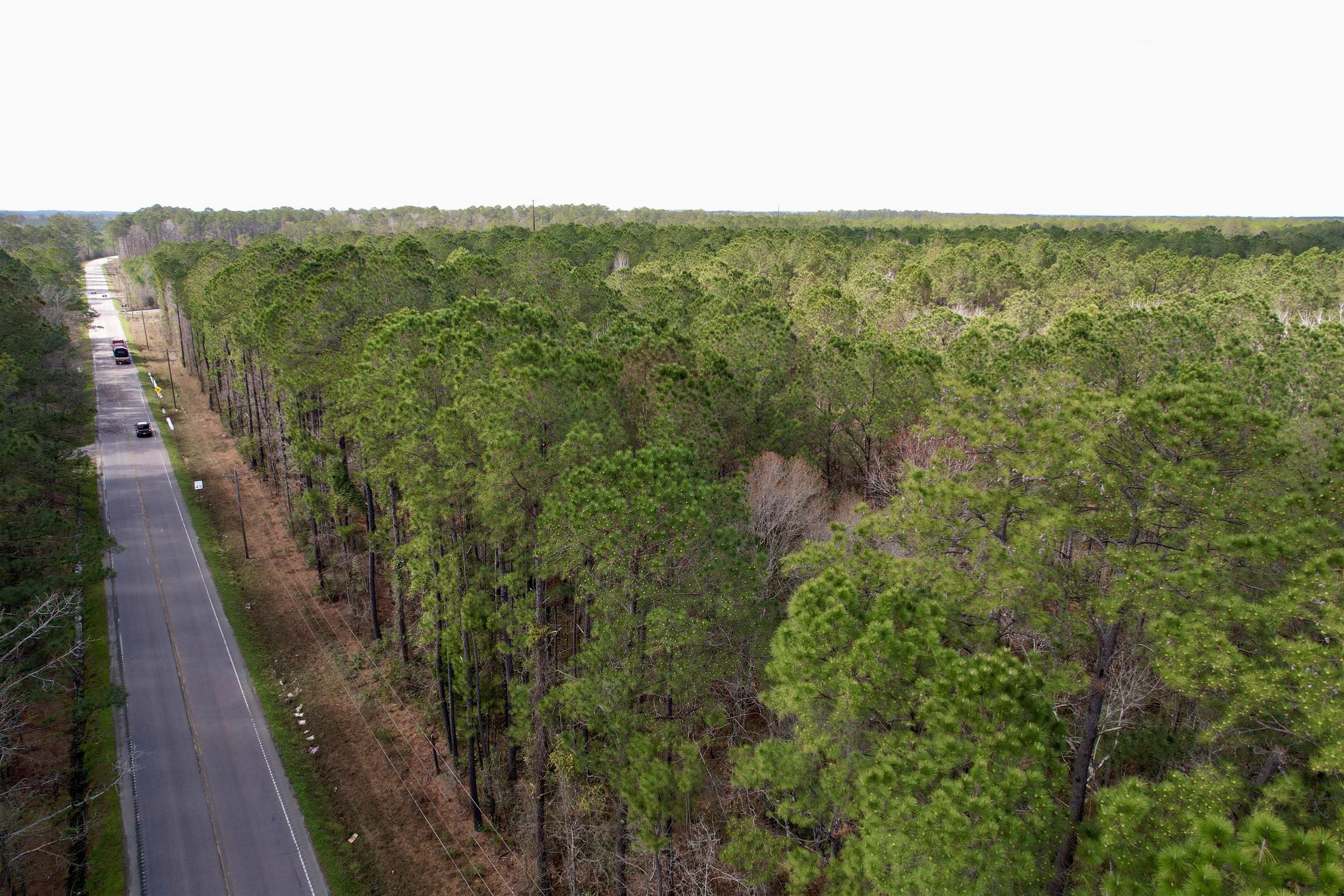 Tract D - Tbd Tract D - Tbd Pennyroyal Road Georgetown, SC 29440 - Photo 8 of 23