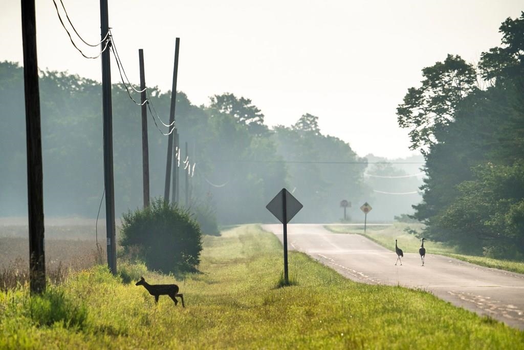 Kiehnau Road Egg Harbor, WI 54209 - Photo 12 of 24