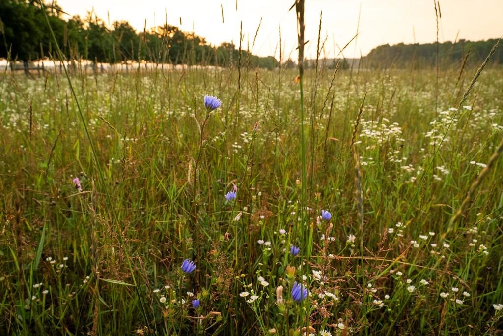 Kiehnau Road Egg Harbor, WI 54209 - Photo 13 of 24