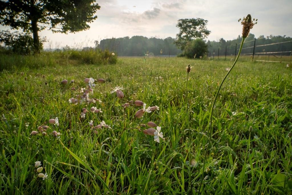 Kiehnau Road Egg Harbor, WI 54209 - Photo 14 of 24