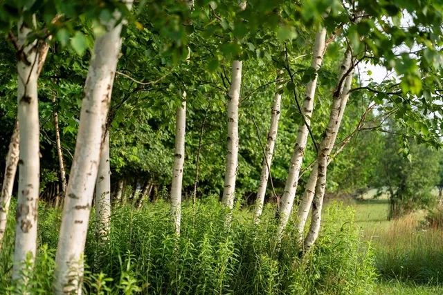 $720,000 | Kiehnau Road, Egg Harbor, WI 54209