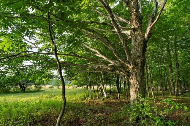 $720,000 | Kiehnau Road, Egg Harbor, WI 54209