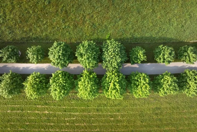 $720,000 | Kiehnau Road, Egg Harbor, WI 54209