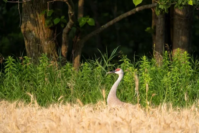 $720,000 | Kiehnau Road, Egg Harbor, WI 54209