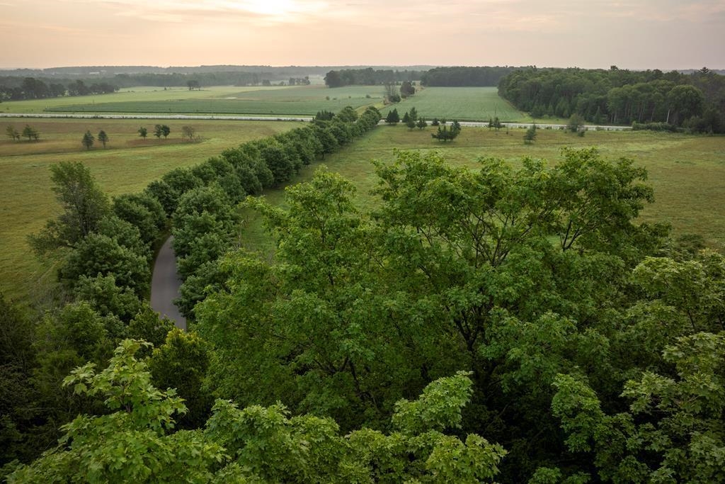 Kiehnau Road Egg Harbor, WI 54209 - Photo 9 of 24