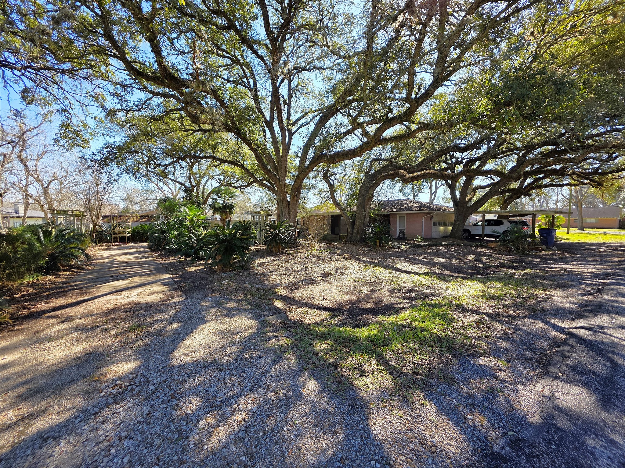 706 Maple Street Sweeny, TX 77480 - Photo 4 of 42 a view of yard with trees
