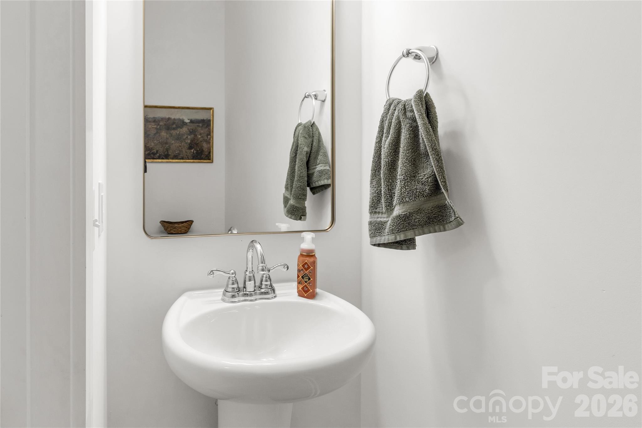 11117 Argosy Drive Lancaster, SC 29720 - Photo 7 of 37 a bathroom with a sink and mirror