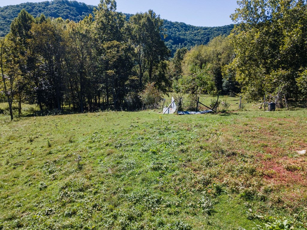 4135 Flintrock Road Saltville, VA 24370 - Photo 11 of 14 Gallery Image 11
