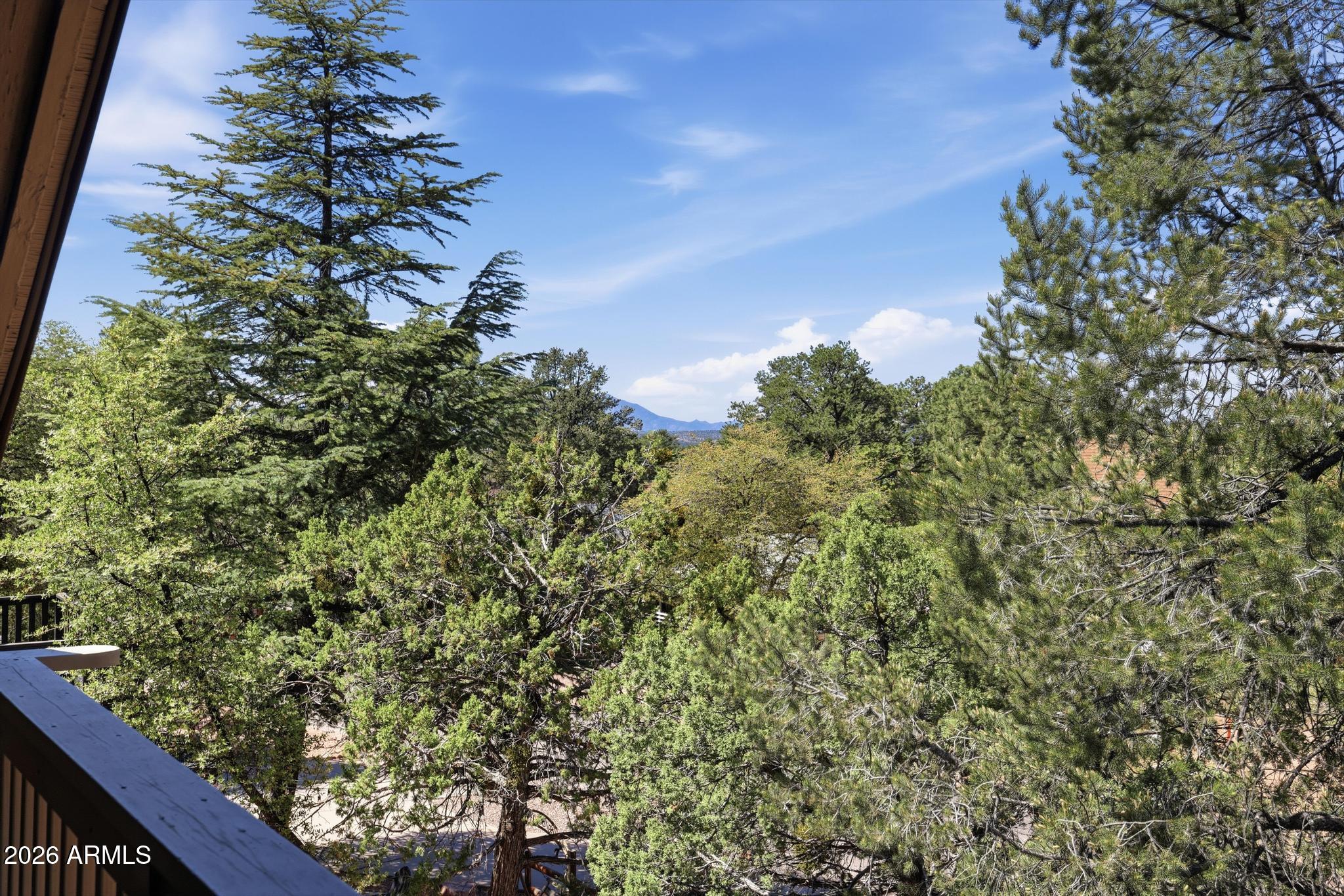 903 North Easy Street Payson, AZ 85541 - Photo 33 of 36 Easy_St_022